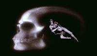 a black and white image of a skull with a woman in it