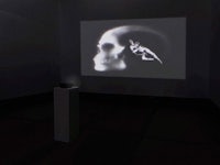 a projection of a skull in a dark room
